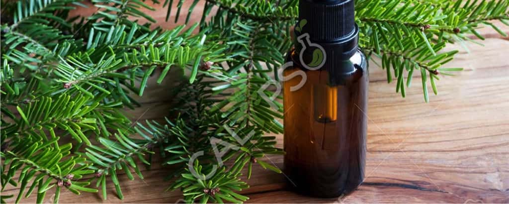 Vantaggi dell'olio assoluto di Abete Balsam